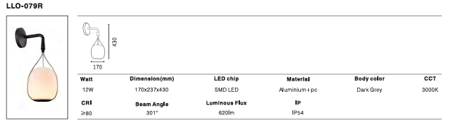 LED Outdoor Wall Light P-371