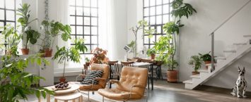 LOFT HOME DECORATED WITH PLANTS