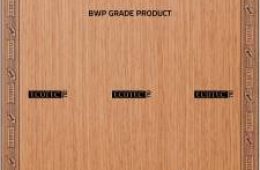 Greenply Ecotec BWP 6MM 7 X 4 Plywood (Brown