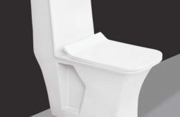One Piece Toilet – No 6175