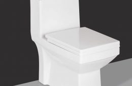 One Piece Toilet – No 6170