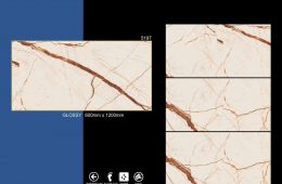 5197 Glossy – Floor Tiles
