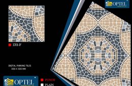 1701 – F – Digital Parking Tiles