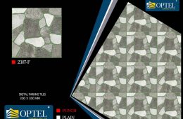2307 – F – Digital Parking Tiles
