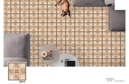 2012 Glossy – Floor Tiles