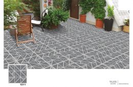 1011 Glossy – Floor Tiles